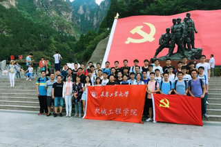 公司党委组织开展党支部“庆...